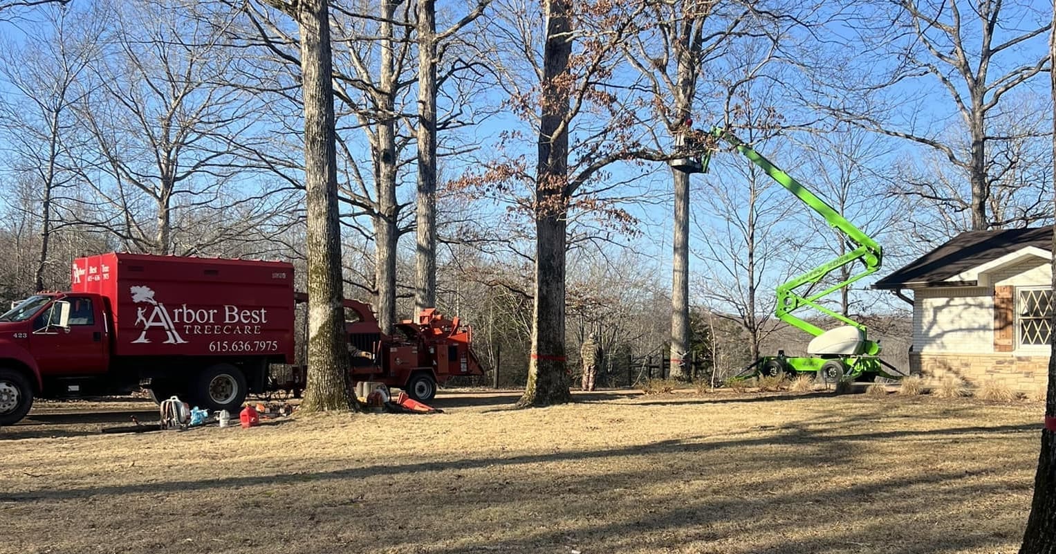 Tree Removal Costs in Middle Tennessee